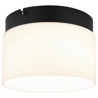 DECKENLEUCHTE 20/14 cm  - Opal/Schwarz, Trend, Glas/Kunststoff (20/14cm) - Collet's Monde