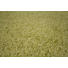HOCHFLORTEPPICH 240/290 cm Grün - Grün, Basics, Textil (240/290cm) - Novel