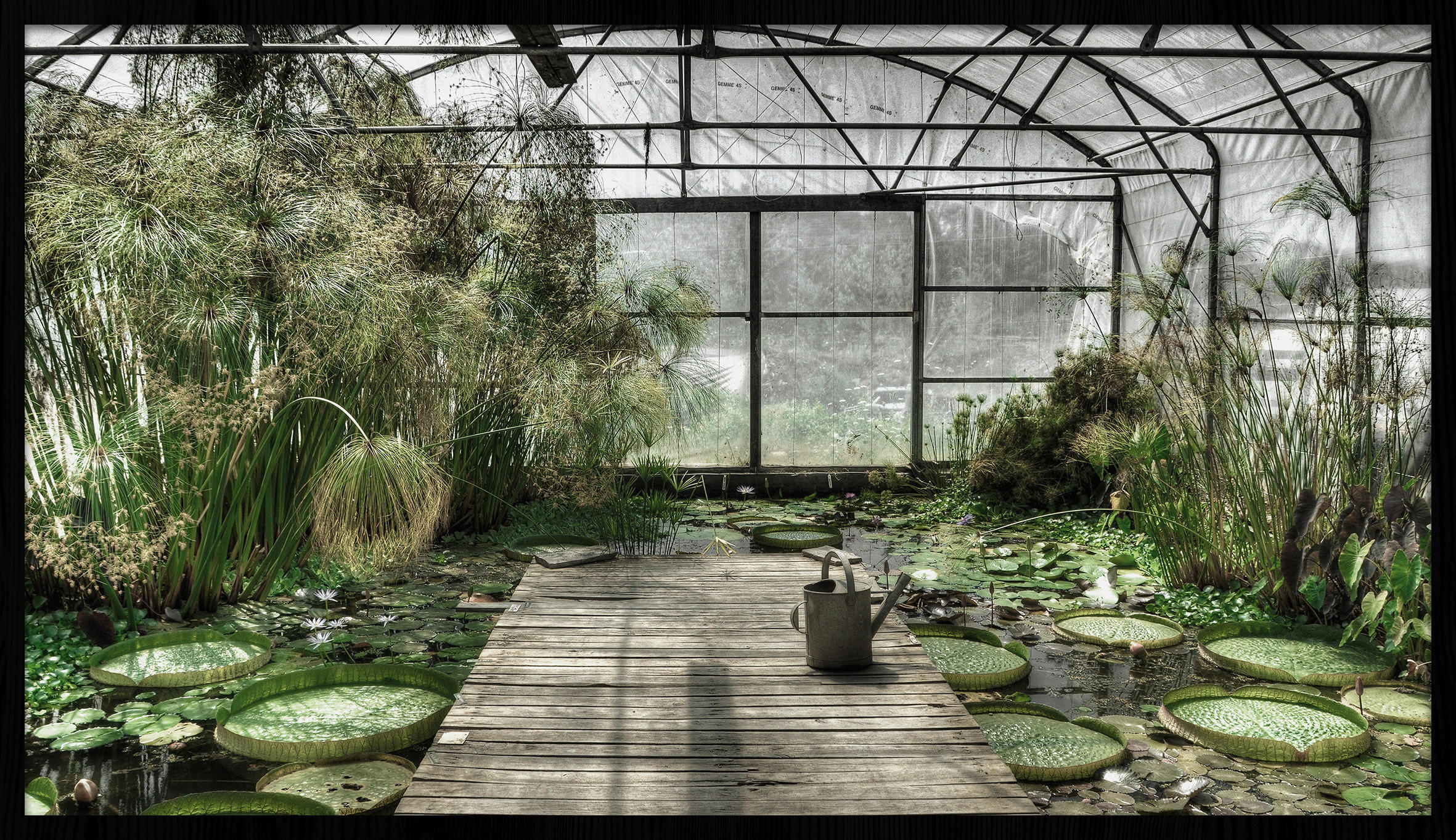 BILD 118/70 cm  - Schwarz/Grün, Design, Holz/Kunststoff (118/70cm) - Wandkraft