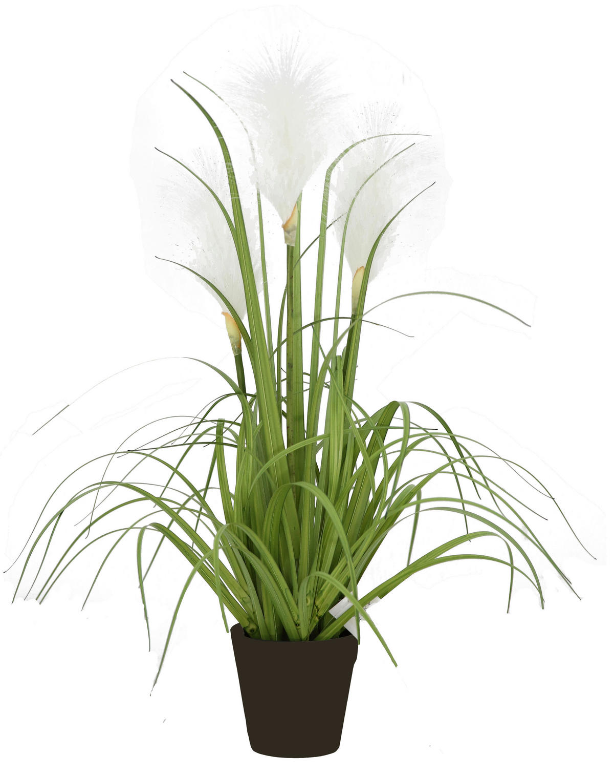 KUNSTPFLANZE 53 cm  - Basics (53cm) - Ambia Home