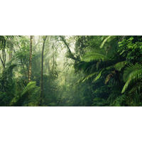 VLIESTAPETE  - Natur (500/250cm) - Komar