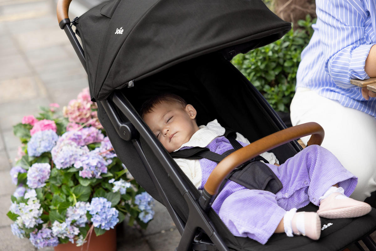 BUGGY PACT PRO  - Anthrazit/Grau, Basics, Textil/Metall (49,5/106/83,1cm) - Joie