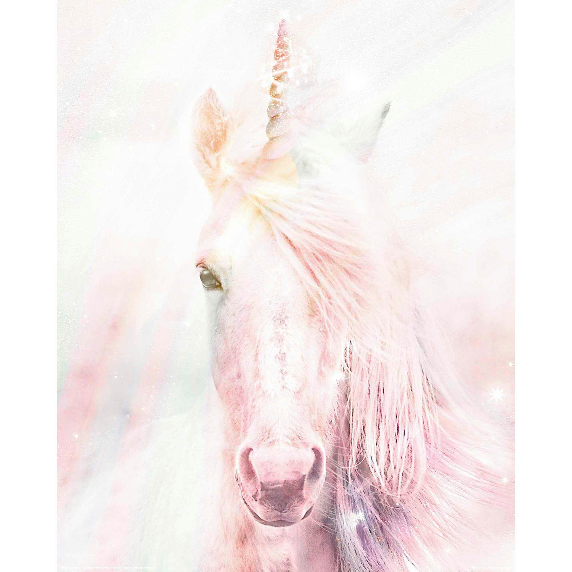 POSTER 40/50 cm  - Multicolor, LIFESTYLE, Papier (40/50cm) - Reinders!