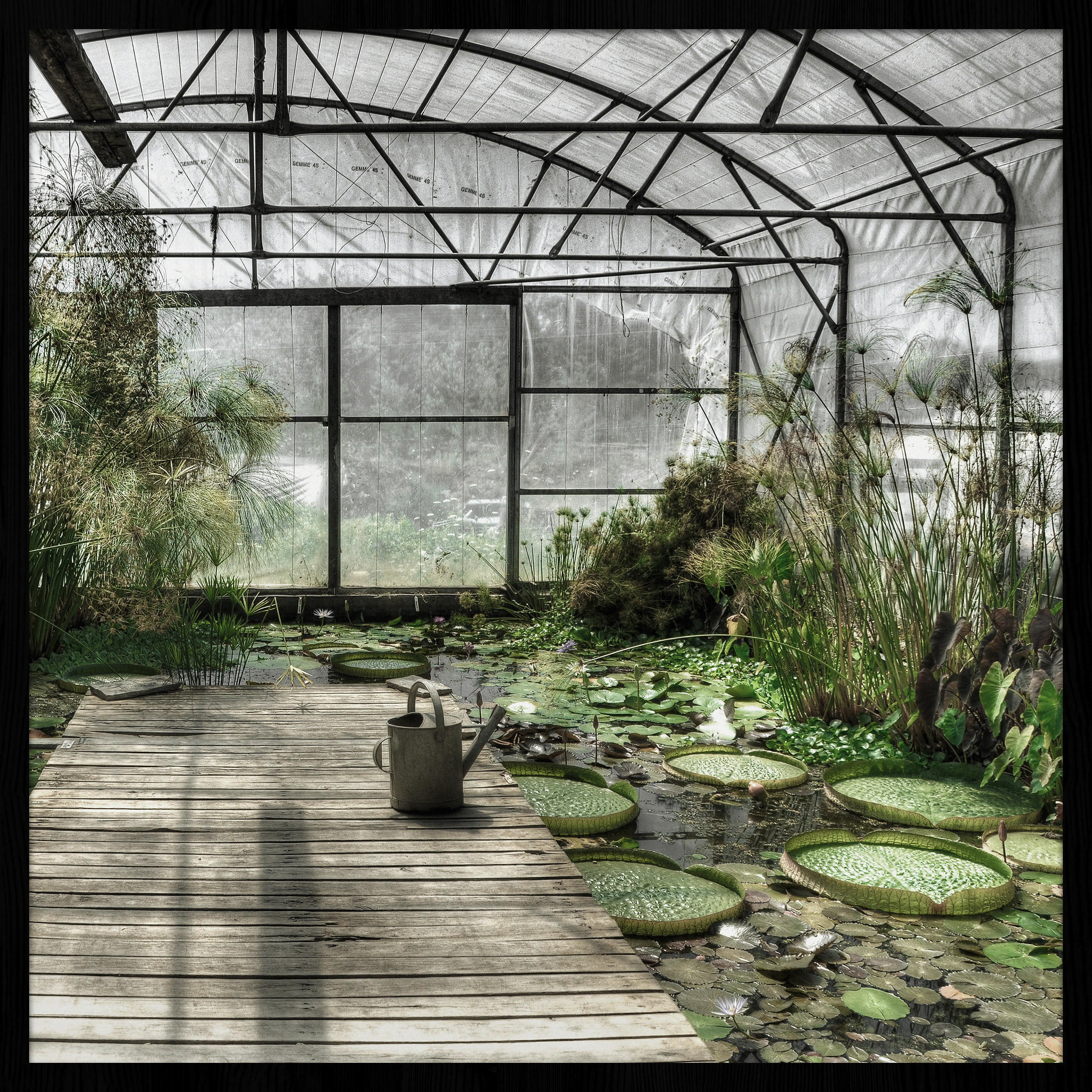 Wandkraft Bild Grün 74x74 cm