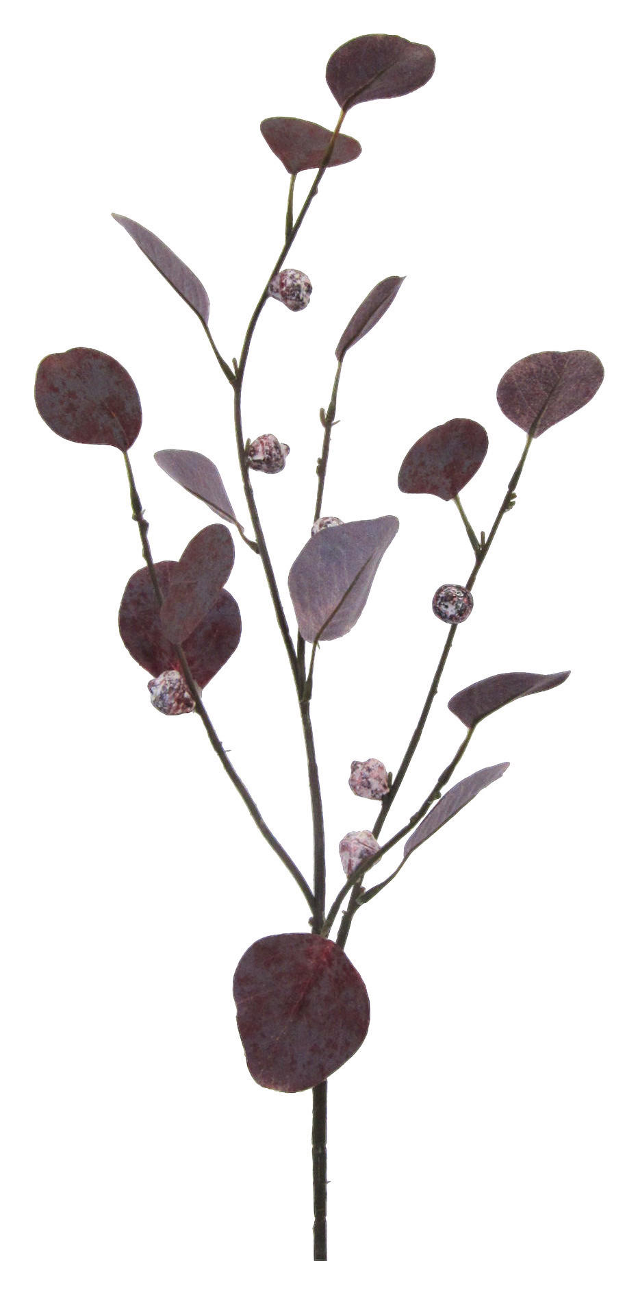 KUNSTPFLANZE Eukalyptus 73 cm  - Aubergine/Braun, Natur, Kunststoff (73cm)