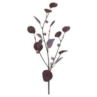 KUNSTPFLANZE Eukalyptus 73 cm  - Aubergine/Braun, Natur, Kunststoff (73cm)