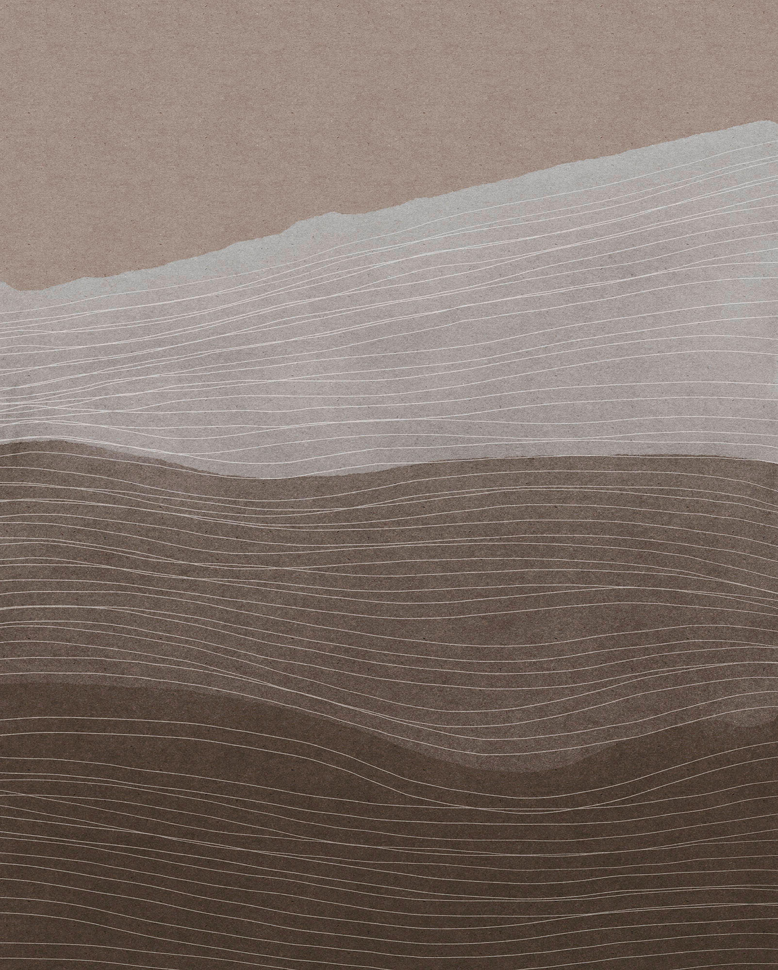 VLIESTAPETE  - Braun, Basics (200/250cm) - Xora