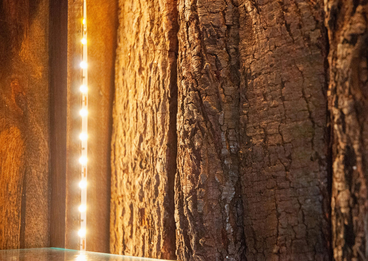 VITRINE  in massiv Mangoholz Braun, Schwarz  - Schwarz/Braun, KONVENTIONELL, Glas/Holz (100/175/45cm) - Livetastic