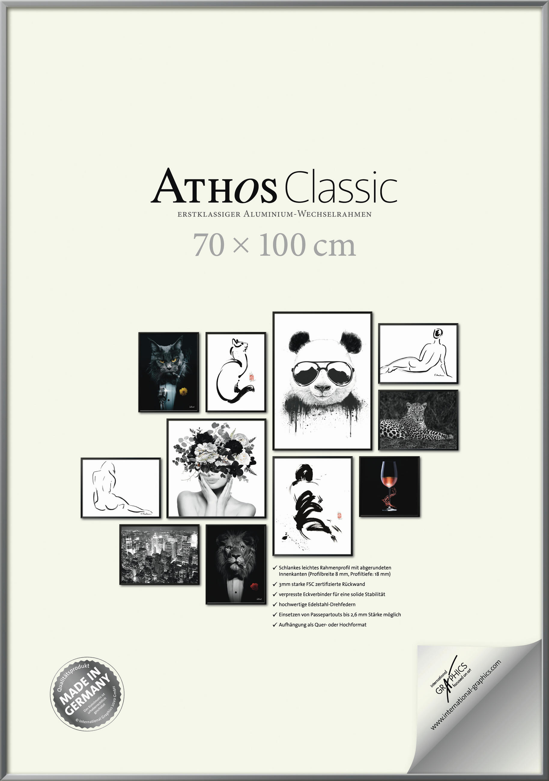 BILDERRAHMEN - Silberfarben, Basics, Papier/Holzwerkstoff (70/100/1,8cm)