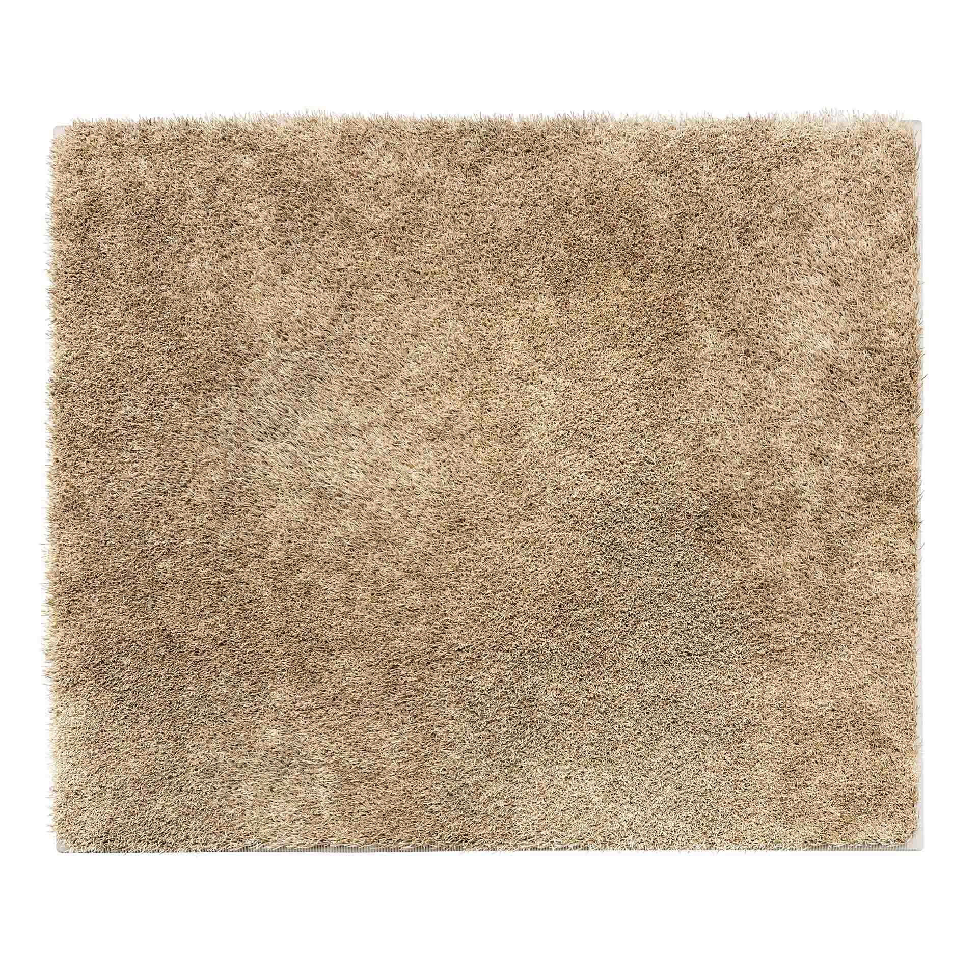 BADTEPPICH ELYSIA Beige 50/60 cm  - Beige, Basics, Kunststoff/Textil (50/60cm) - Grund