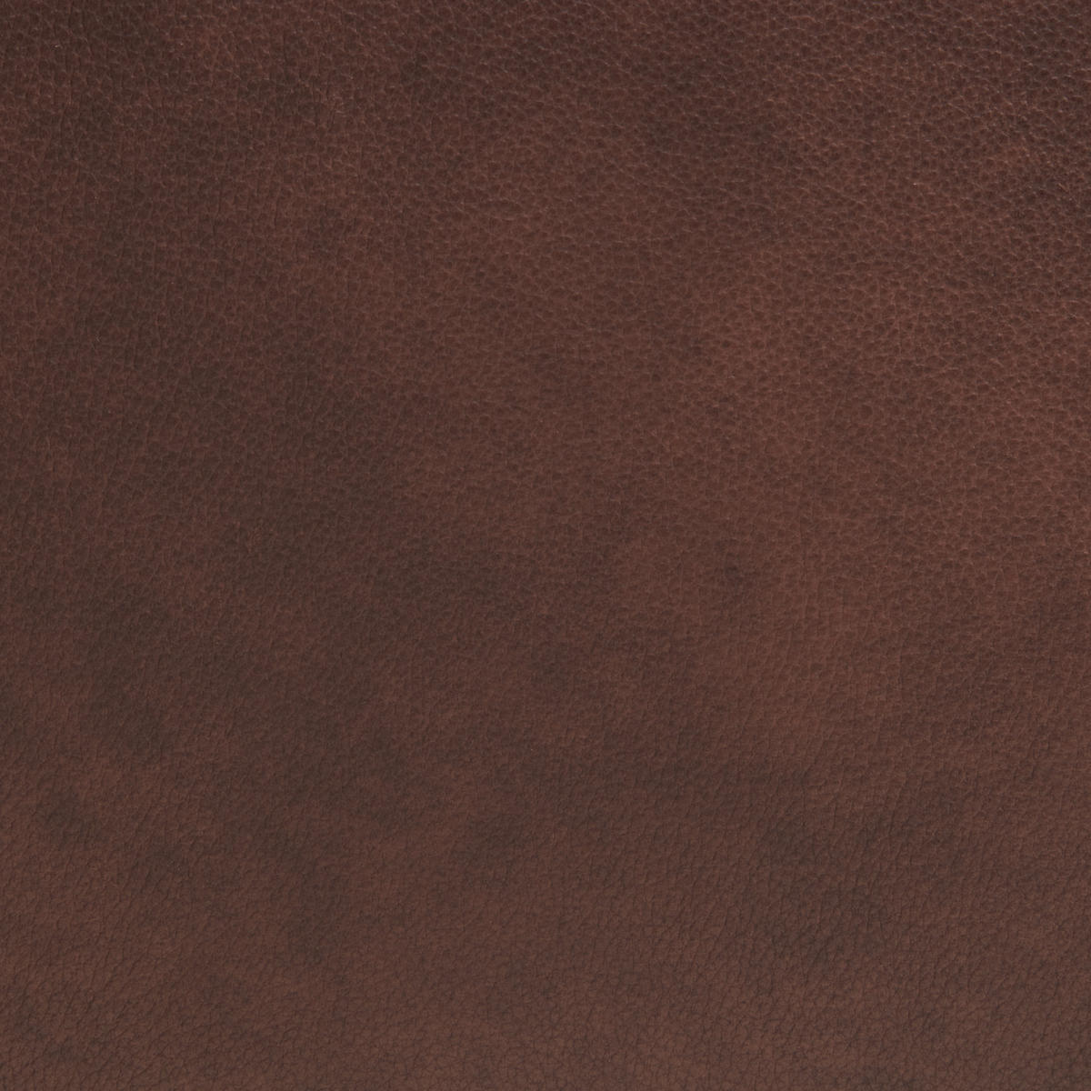 ECKSOFA in Echtleder Dunkelbraun  - Dunkelbraun/Schwarz, Design, Leder/Metall (304/201cm) - Emilio Belluti