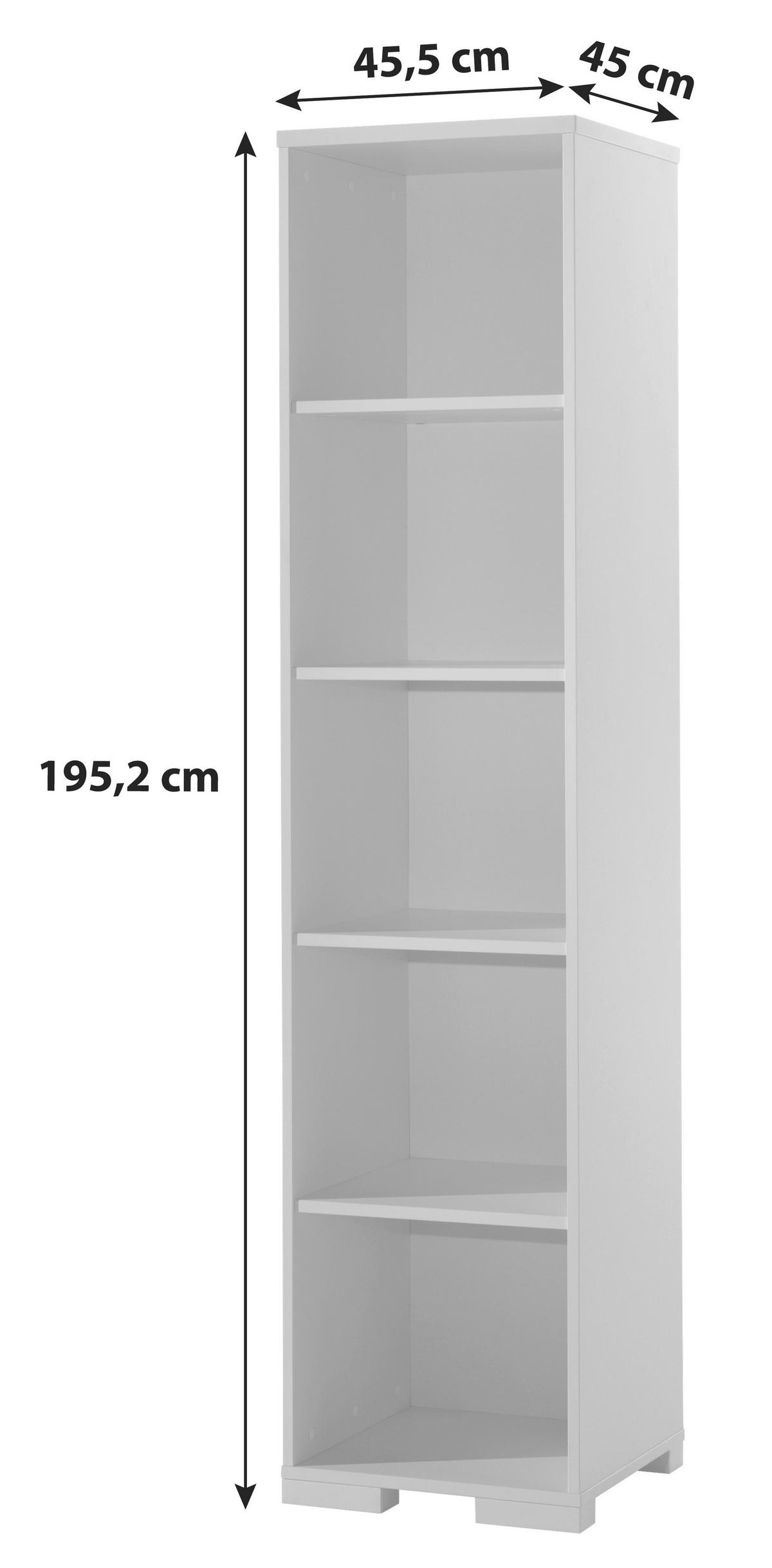 REGAL Anthrazit  - Anthrazit, MODERN, Holzwerkstoff (45,5/195,2/45cm) - MID.YOU
