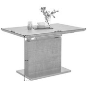 STOL ZA BLAGOVAONICU - siva/boje oplemenjenog čelika, Design, drvni materijal/metal (120(170)/80/76cm) - CARRYHOME