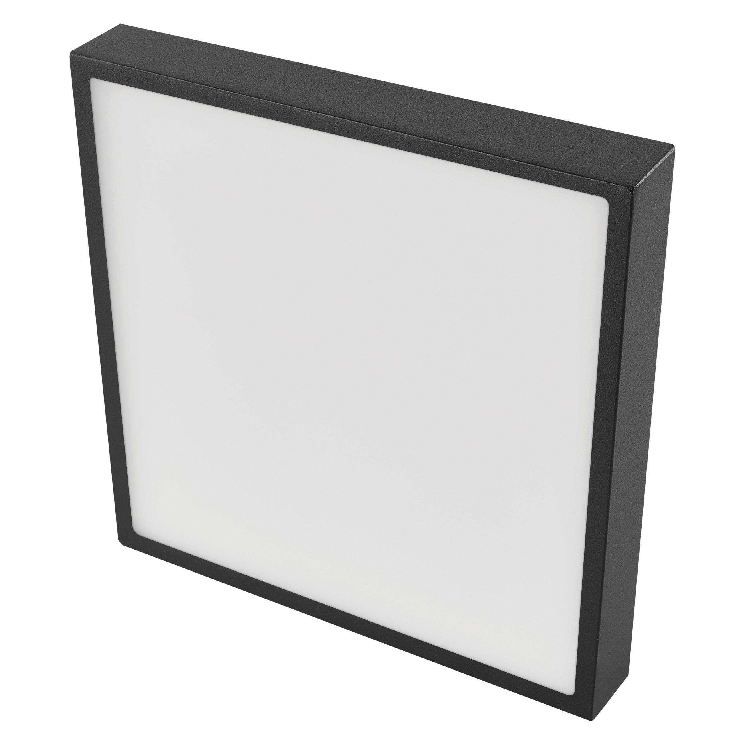 STROPNÍ LED SVÍTIDLO, 30/30/4.2 cm - černá, Basics, kov (30/30/4.2cm)