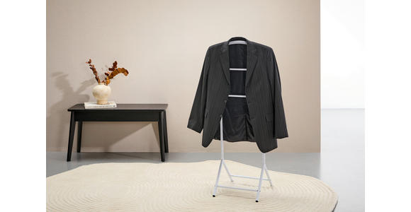 HERRENDIENER - Weiß, Basics, Metall (46/112/41cm) - Carryhome