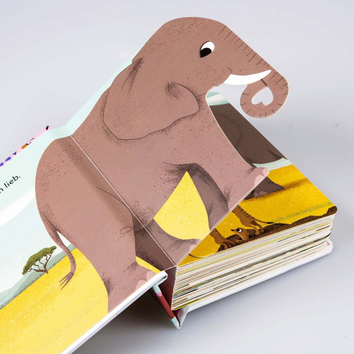 BUCH - Multicolor, Basics, Papier (14/16,5/3,3cm) - Carlsen