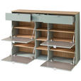 SCHUHSCHRANK 148/103/38 cm - Salbeigrün/Silberfarben, Design, Holzwerkstoff/Kunststoff (148/103/38cm) - Xora