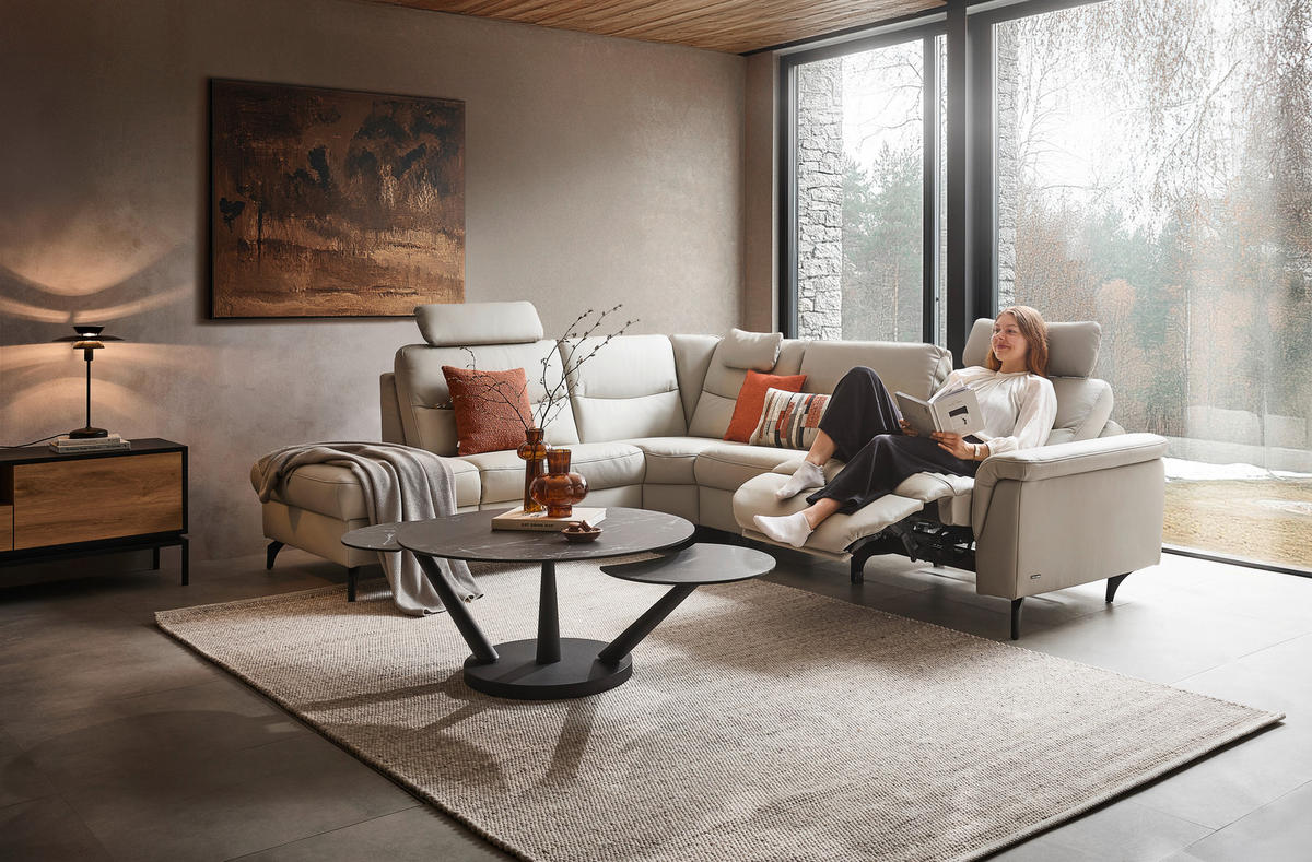 ECKSOFA in Echtleder Hellgrau  - Anthrazit/Hellgrau, Design, Leder/Metall (249/280cm) - Himolla Komfortklass