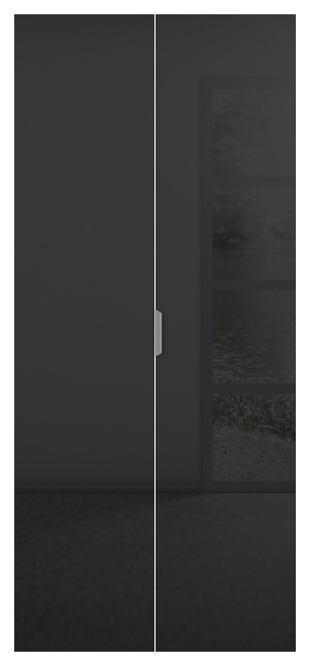 DREHTÜRENSCHRANK 91/210/52 cm 2-türig Weiß, Dunkelgrau  - Dunkelgrau/Alufarben, KONVENTIONELL, Glas/Holzwerkstoff (91/210/52cm) - Carryhome