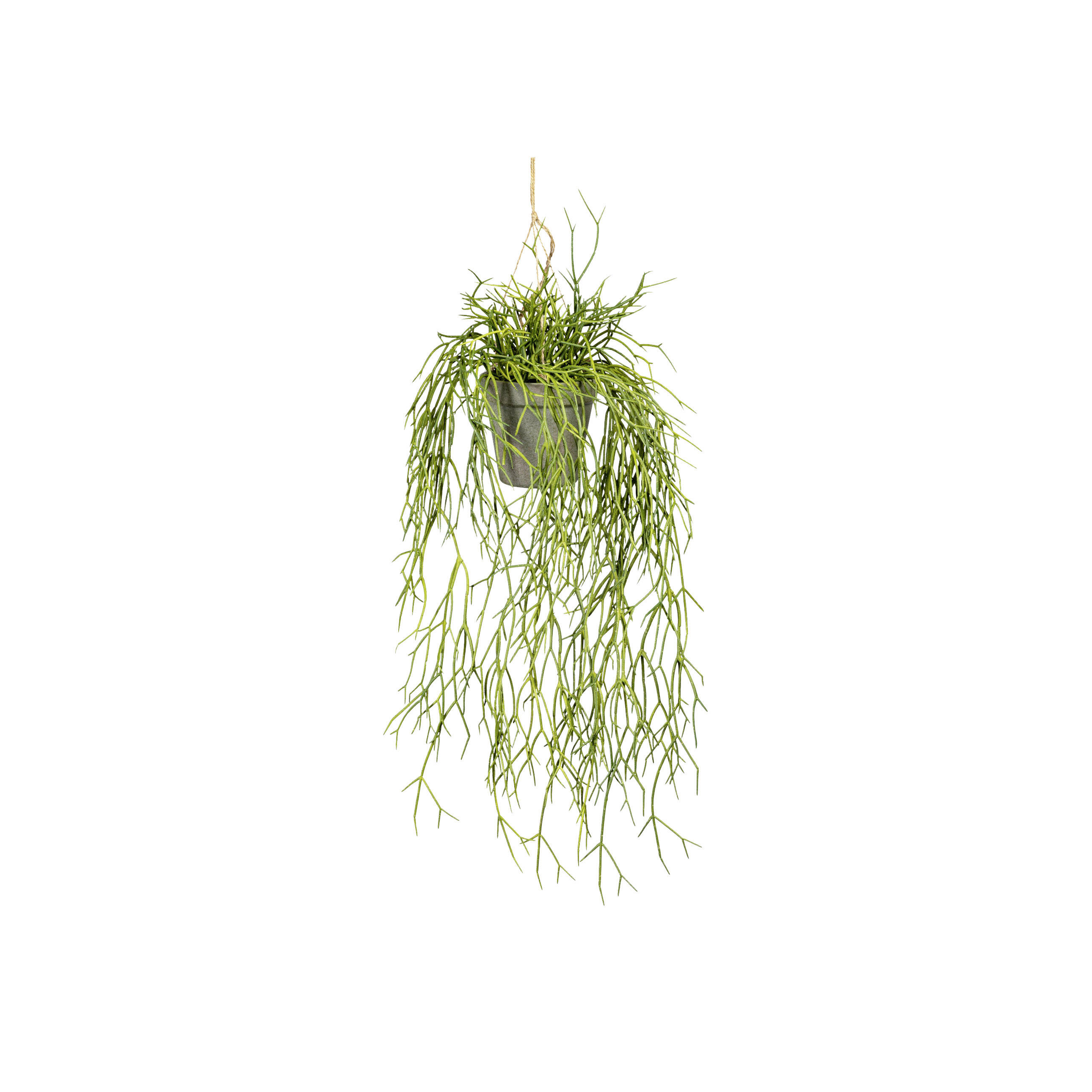 KUNSTPFLANZE 60 cm  - Grau/Grün, Design, Kunststoff (60cm) - P & B