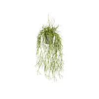 KUNSTPFLANZE 60 cm  - Grau/Grün, Design, Kunststoff (60cm) - P & B