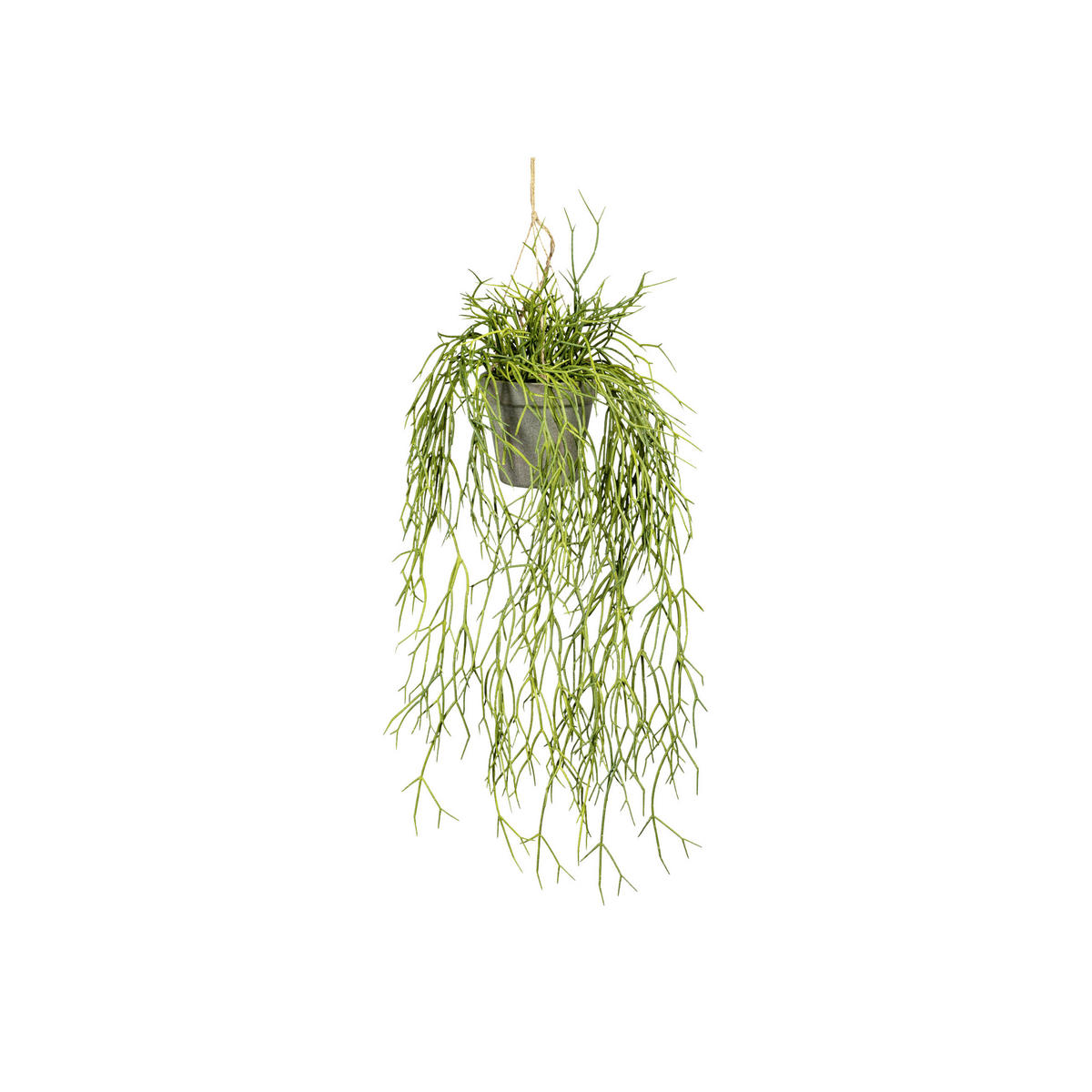 KUNSTPFLANZE 60 cm  - Grau/Grün, Design, Kunststoff (60cm) - P & B