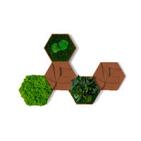 MOOSPANEEL Stylegreen  - Hellbraun/Grün, Basics, Naturmaterialien/Holz (19/22cm)
