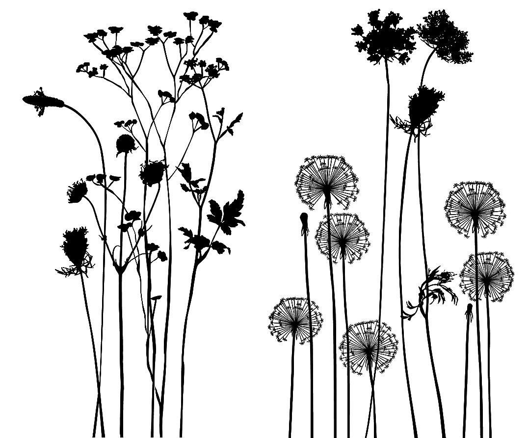 SAMOLEPKA NA ZEĎ - vícebarevná, Basics, plast (50/70/0,10cm) - Euroart