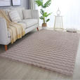 HOCHFLORTEPPICH 120/170 cm AMBIANCE Beige  - Beige, Basics, Textil (120/170cm) - Novel