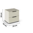 NACHTSCHRANK 50/49/42 cm  - Champagner/Silberfarben, Trend, Holzwerkstoff/Metall (50/49/42cm) - Novel