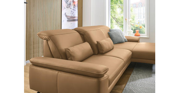 ECKSOFA in Echtleder Honig 332/193 cm - Schwarz/Honig, Design, Leder/Metall (332/193cm) - Dieter Knoll