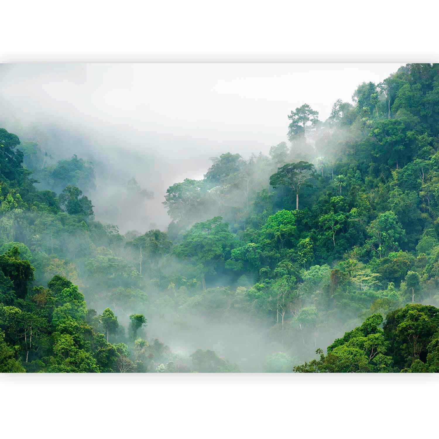 FOTOTAPETE  - Weiß/Grün, LIFESTYLE, Textil (400/280cm) - artgeist