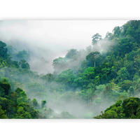 FOTOTAPETE  - Weiß/Grün, LIFESTYLE, Textil (400/280cm) - artgeist