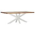 TISCHPLATTE      - Sheeshamfarben, Design, Holz (220/100/5cm) - Landscape
