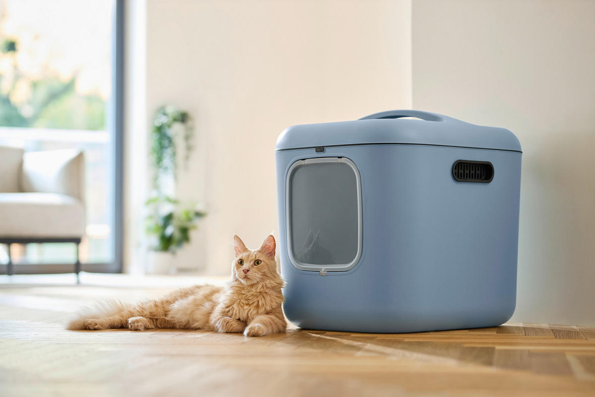 KATZENTOILETTE - Pastellblau, Basics, Kunststoff (49,9/57,6/61,4cm) - Rotho