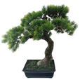 BONSAI 43 cm  - Dunkelgrün/Dunkelgrau, Basics, Kunststoff (43cm) - Ambia Home