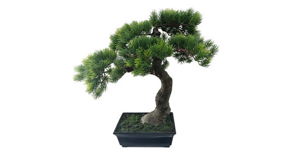 BONSAI 43 cm - Dunkelgrün/Dunkelgrau, Basics, Kunststoff (43cm) - Ambia Home