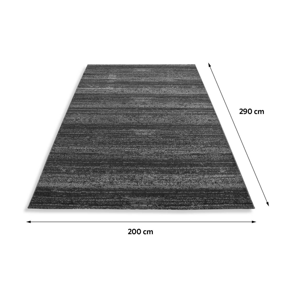 WEBTEPPICH 200/290 cm Plus 8000 Grau  - Grau, Design, Textil (200/290cm) - Novel