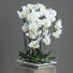 ORCHIDEE - Creme/Weiß, Basics, Kunststoff (62cm) ORCHIDEE - Creme/Weiß, Basics, Kunststoff (62cm)