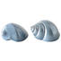 DEKOMUSCHEL - Hellblau, Trend, Keramik (7,5/4,5/4cm) DEKOMUSCHEL - Hellblau, Trend, Keramik (7,5/4,5/4cm)
