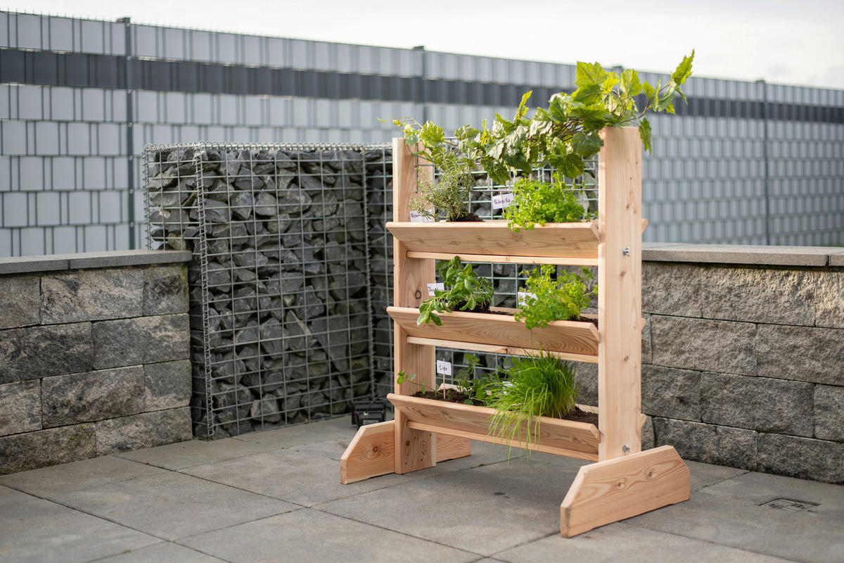 GARTENREGAL Holz  - Lärchefarben, Basics, Holz (80/95/50cm) - Ambia Garden