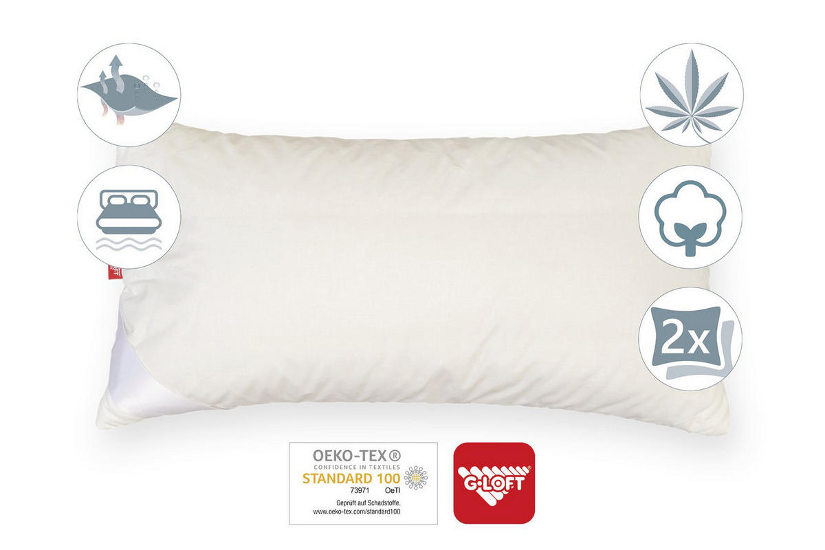 KOPFKISSEN 65/100 cm  - Champagner, Basics, Textil (65/100cm) - Sleeptex