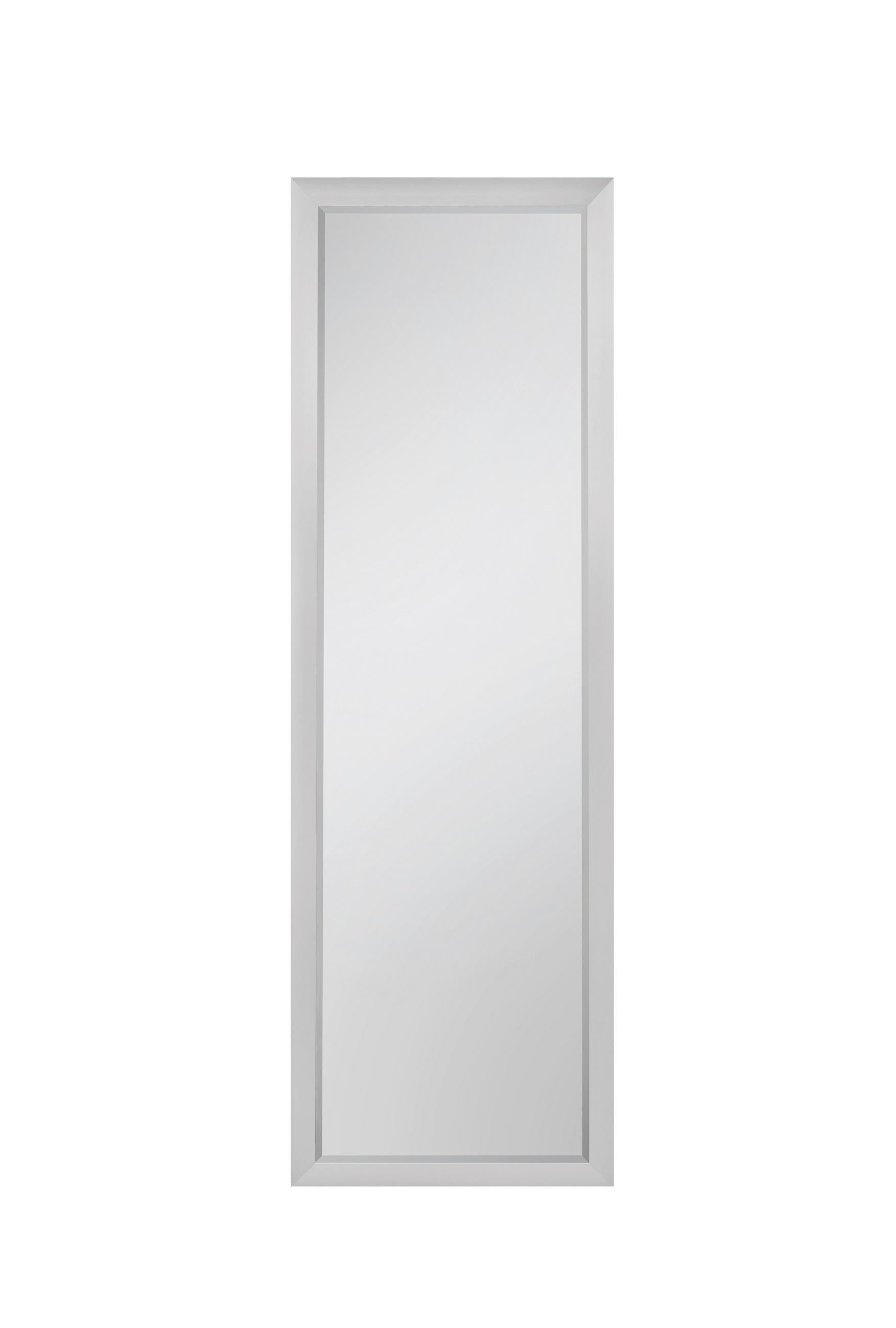 Boxxx Wandspiegel Silber 50x150x1.7 cm