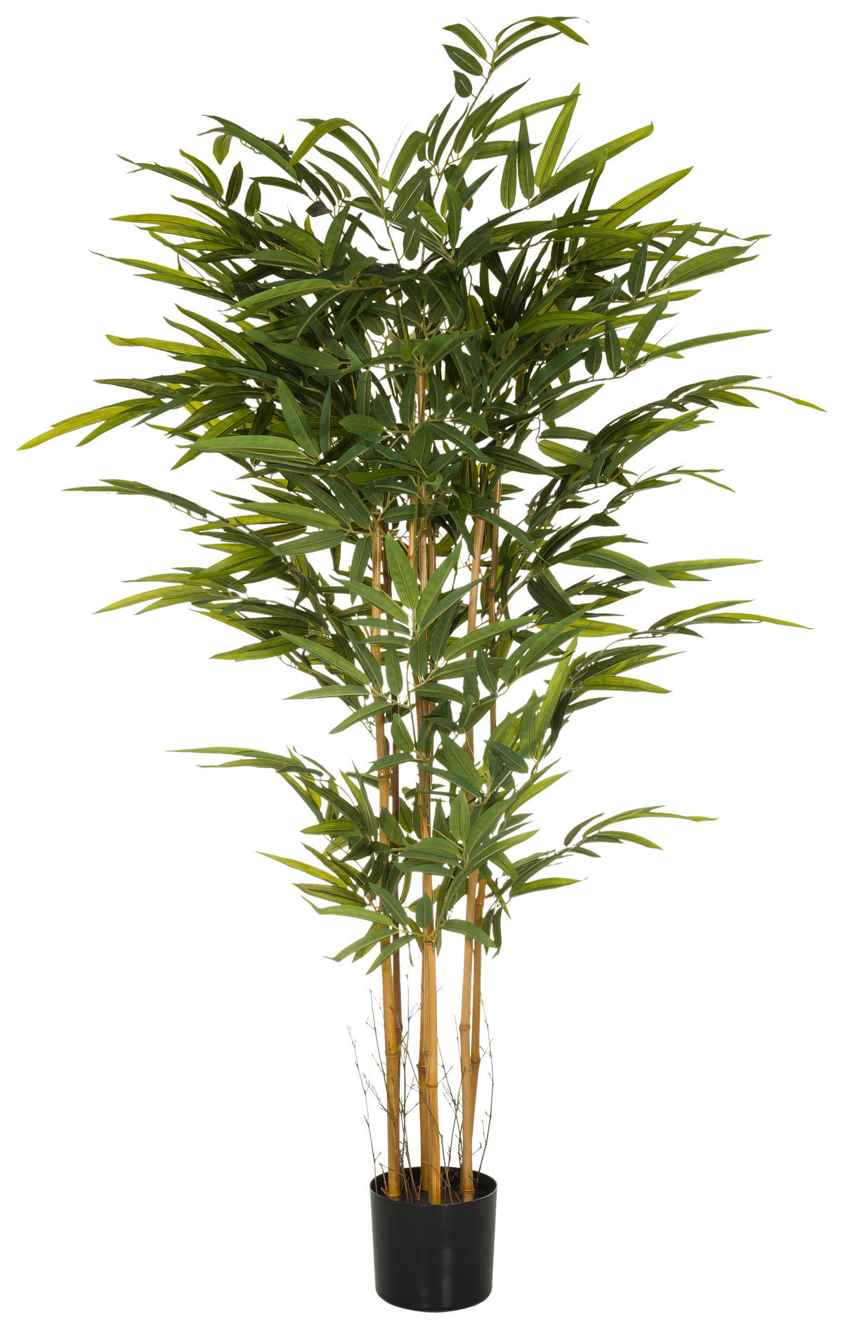 KUNSTPFLANZE Bambus  - Eichefarben/Schwarz, MODERN, Kunststoff/Textil (80/150/80cm) - MID.YOU