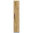 AKTENSCHRANK Anthrazit, Hickory  - Anthrazit/Hickory, KONVENTIONELL, Holzwerkstoff (40/220,5/41,9cm) - Moderano