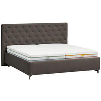 POLSTERBETT 160/200 cm  Anthrazit  - Birkefarben/Anthrazit, Konventionell, Holz/Textil (160/200cm) - Novel