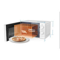 MIKROVALOVNA PEČICA - Basics