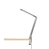 LED-KLEMMLEUCHTE 5/38 cm   - Anthrazit, Basics, Metall (5/38cm) - Fischer & Honsel