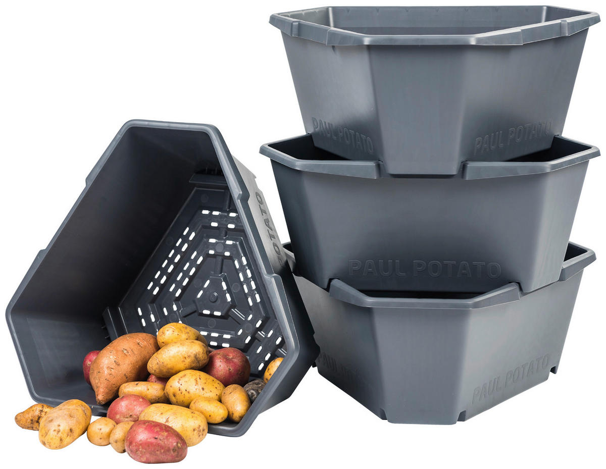 PFLANZENTOPF  PAUL POTATO  - Anthrazit, Basics, Kunststoff (44/65/44cm) - Gusta Garden