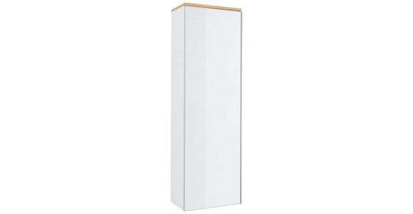 GARDEROBENSCHRANK 54/170/31 cm - Eichefarben/Silberfarben, Design, Glas/Holz (54/170/31cm) - Novel